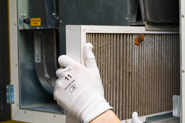 Best Home Air Vent Cleaning  in Canby, OR
